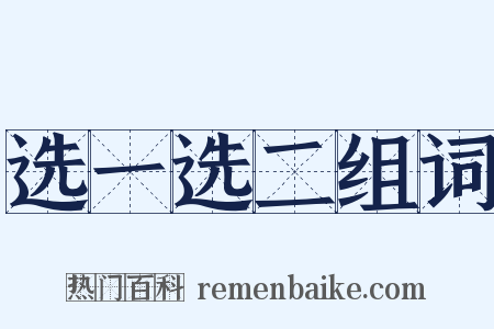 选一选二组词是什么意思的图片